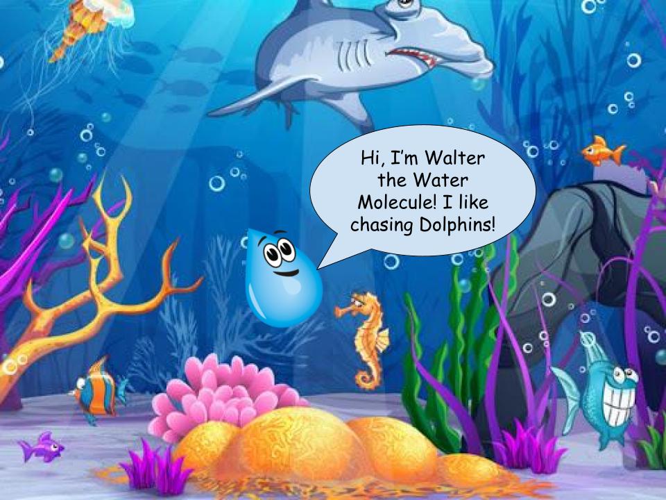 Walter’s Journey through the Water Cycle by Joshua Knapp - Ourboox.com