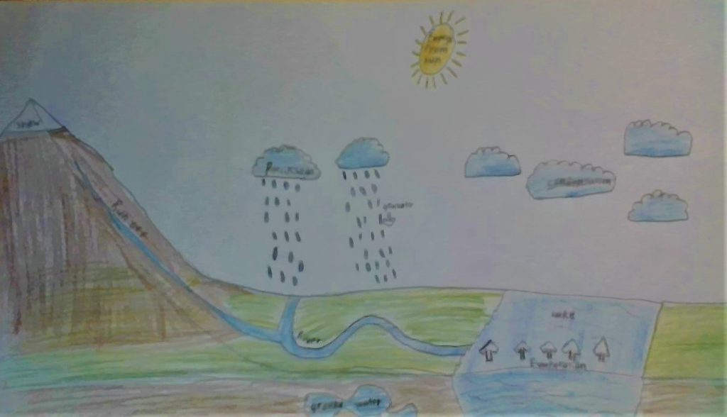 My trip through the water cycle by Alex - Illustrated by Alex - Ourboox.com