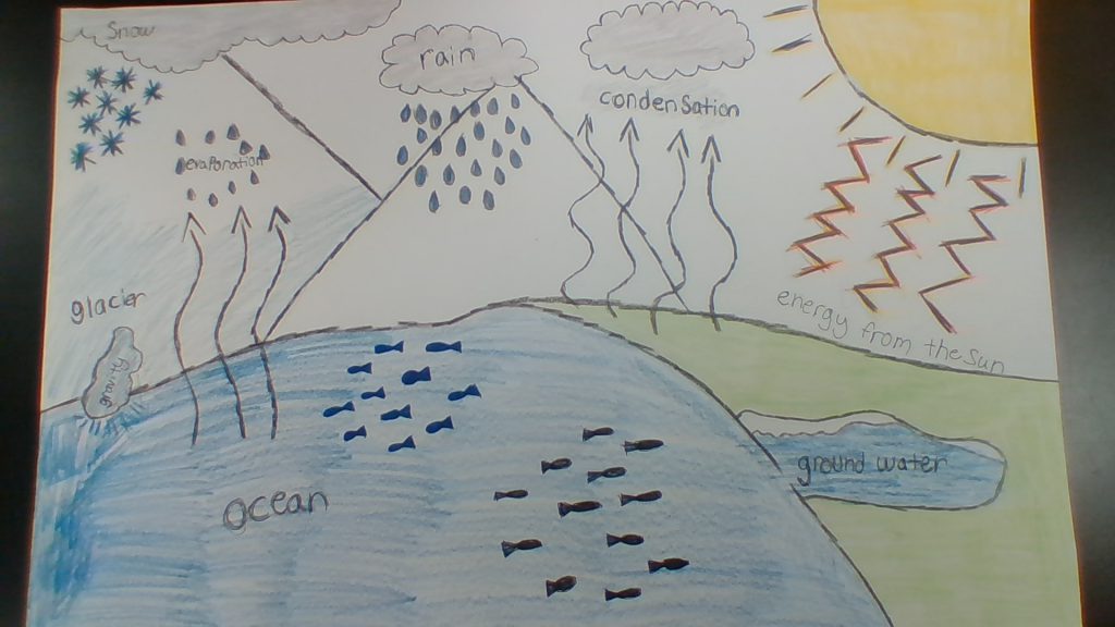 learn about the water cycle by Faith Boyer - Illustrated by Faith .B - Ourboox.com