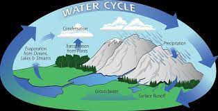 The Story Of Water Cycle by Eli Kress - Illustrated by Kalli Kirchner, Bronson Miles, Eli Kress - Ourboox.com