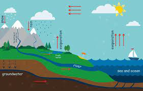 My trip through the water cycle by Alex - Illustrated by Alex - Ourboox.com