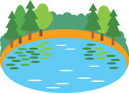 My Tip Through the Water Cycle by avery dophin - Illustrated by Emery and Avery - Ourboox.com