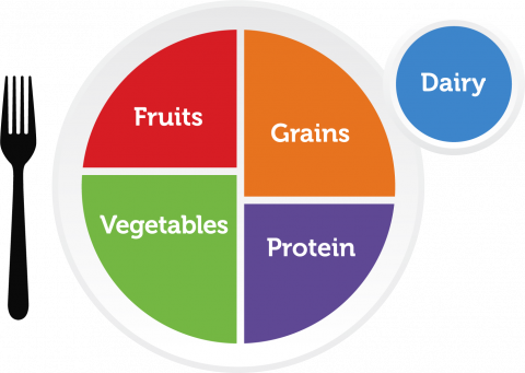 The 5 Different Food Groups by Maya Owens - Ourboox.com