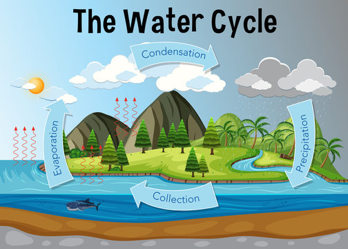 Garry the water molecule: adventures through the water cycle by olivia troy - Illustrated by Olivia, Lizzy - Ourboox.com