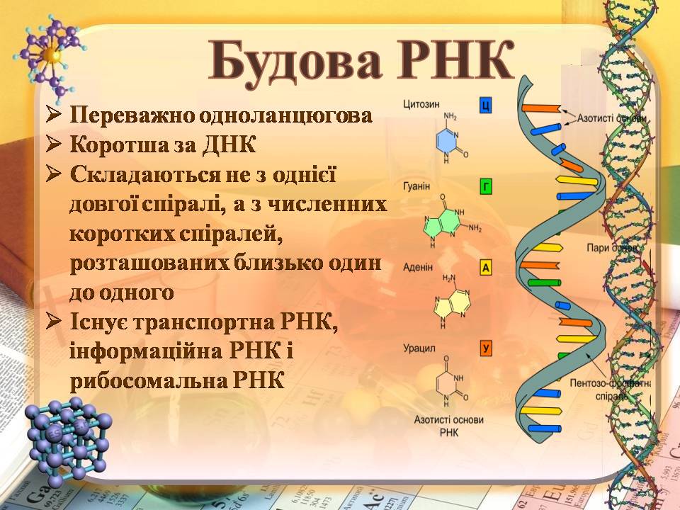 ДНК 9 клас by Pidgorodetska Olena - Ourboox.com