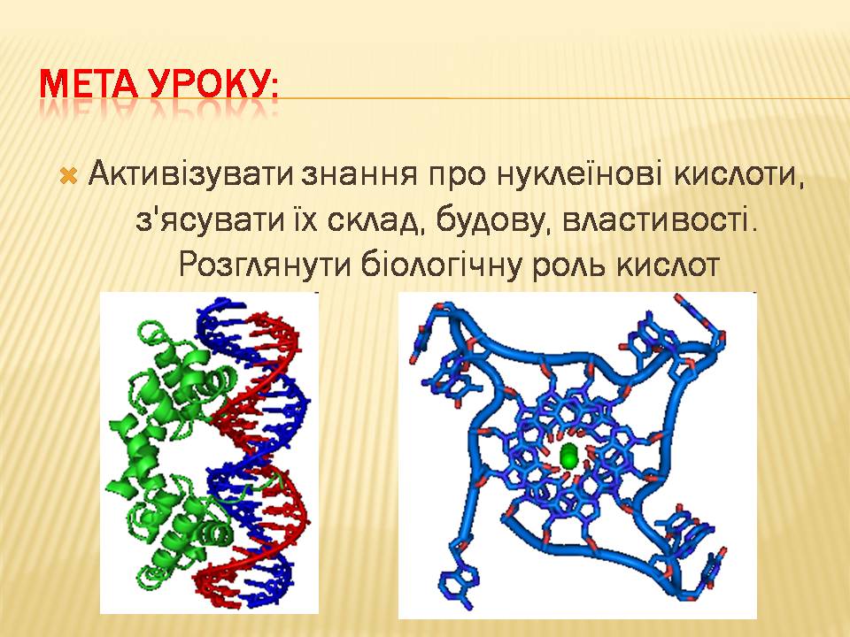 ДНК 9 клас by Pidgorodetska Olena - Ourboox.com