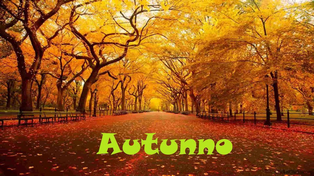 L’autunno by edu bytech - Ourboox.com