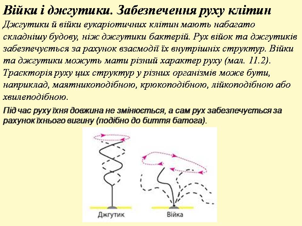 9 клас by Pidgorodetska Olena - Ourboox.com