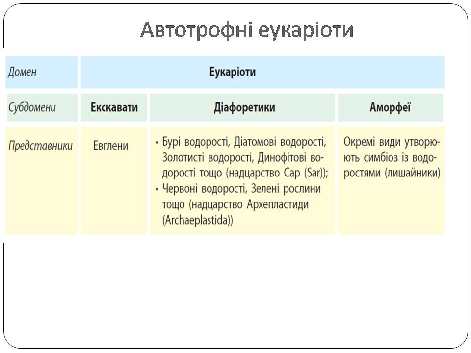 Автоторфні еукаріоти 10клас by Pidgorodetska Olena - Ourboox.com