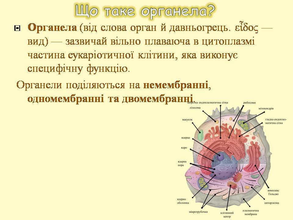 9 клас by Pidgorodetska Olena - Ourboox.com