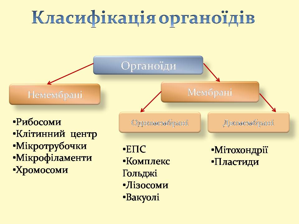 9 клас by Pidgorodetska Olena - Ourboox.com