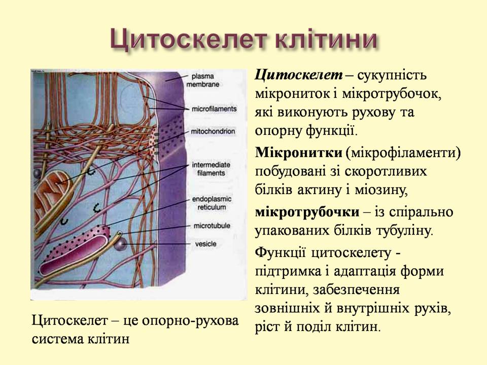 9 клас by Pidgorodetska Olena - Ourboox.com