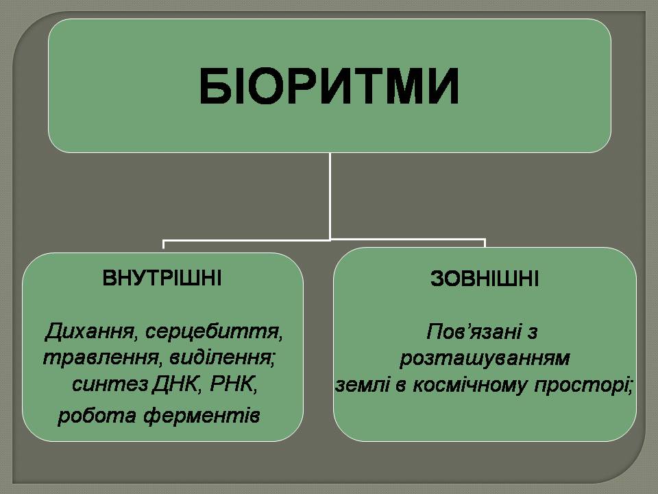 Біоритми by Pidgorodetska Olena - Ourboox.com