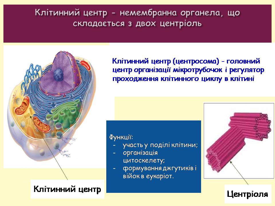 9 клас by Pidgorodetska Olena - Ourboox.com