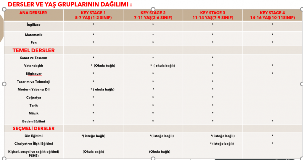 KARŞILAŞTIRMALI EĞİTİM-EYD 7707 by Ebru ÇİMEN - Illustrated by EBRU ÇİMEN - Ourboox.com