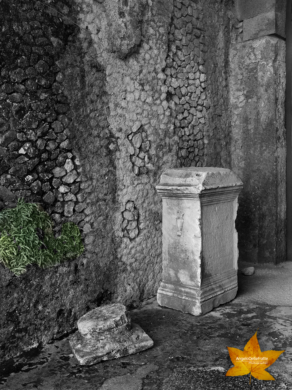 Fotografare Viaggiando – Tempio della Fortuna Primigenia by Angelo Delle Fratte - Illustrated by Angelo Delle Fratte - Nikon Photographer - Ourboox.com