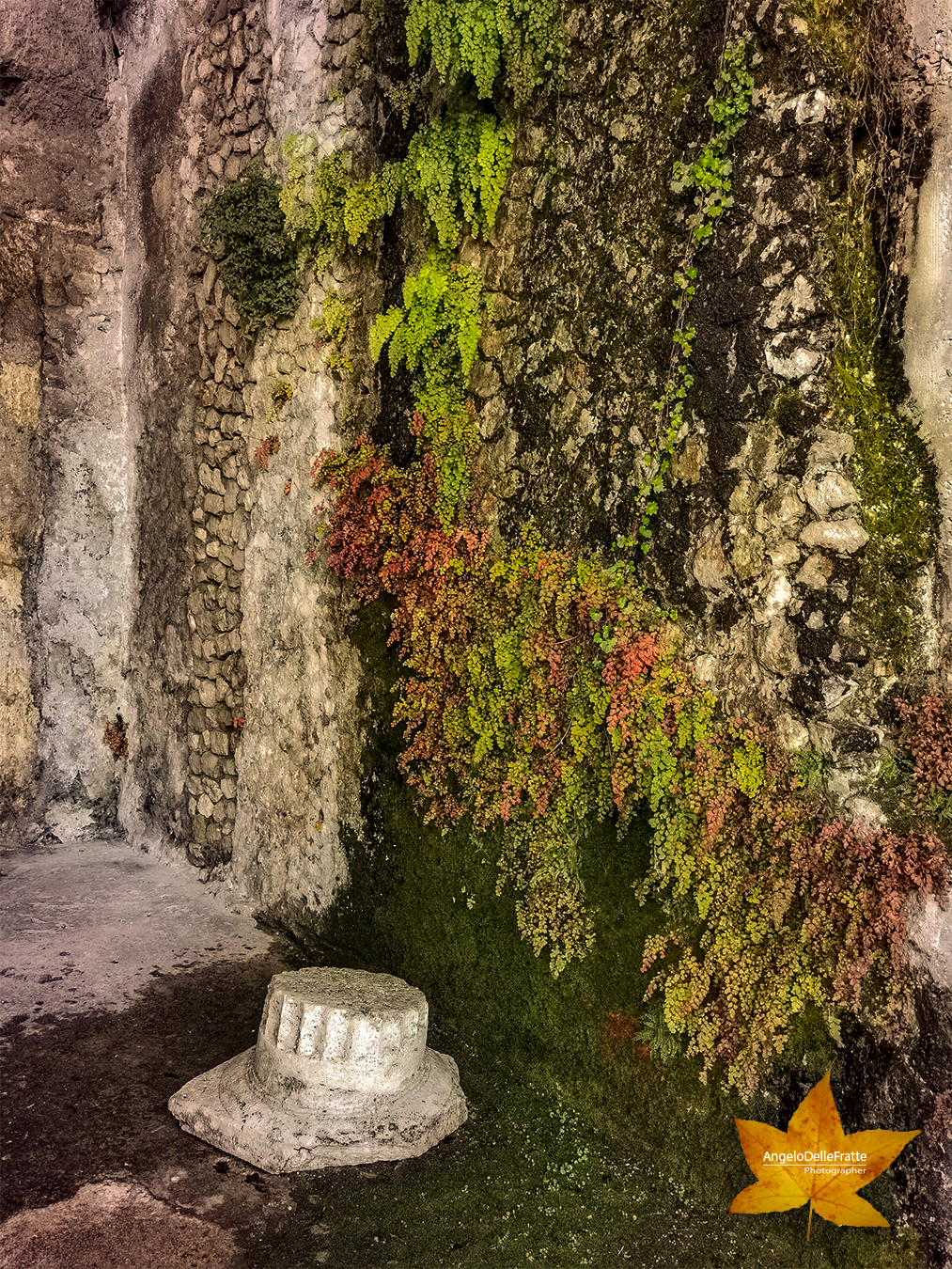 Fotografare Viaggiando – Tempio della Fortuna Primigenia by Angelo Delle Fratte - Illustrated by Angelo Delle Fratte - Nikon Photographer - Ourboox.com