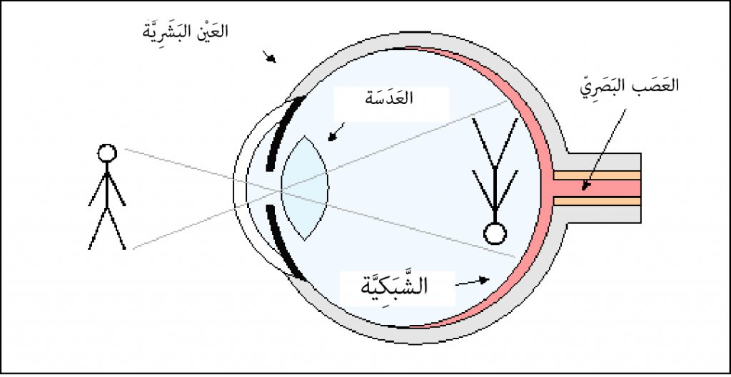 البصر والسمع by Yousef alyan - Illustrated by كتاب البصر والسمع - Ourboox.com