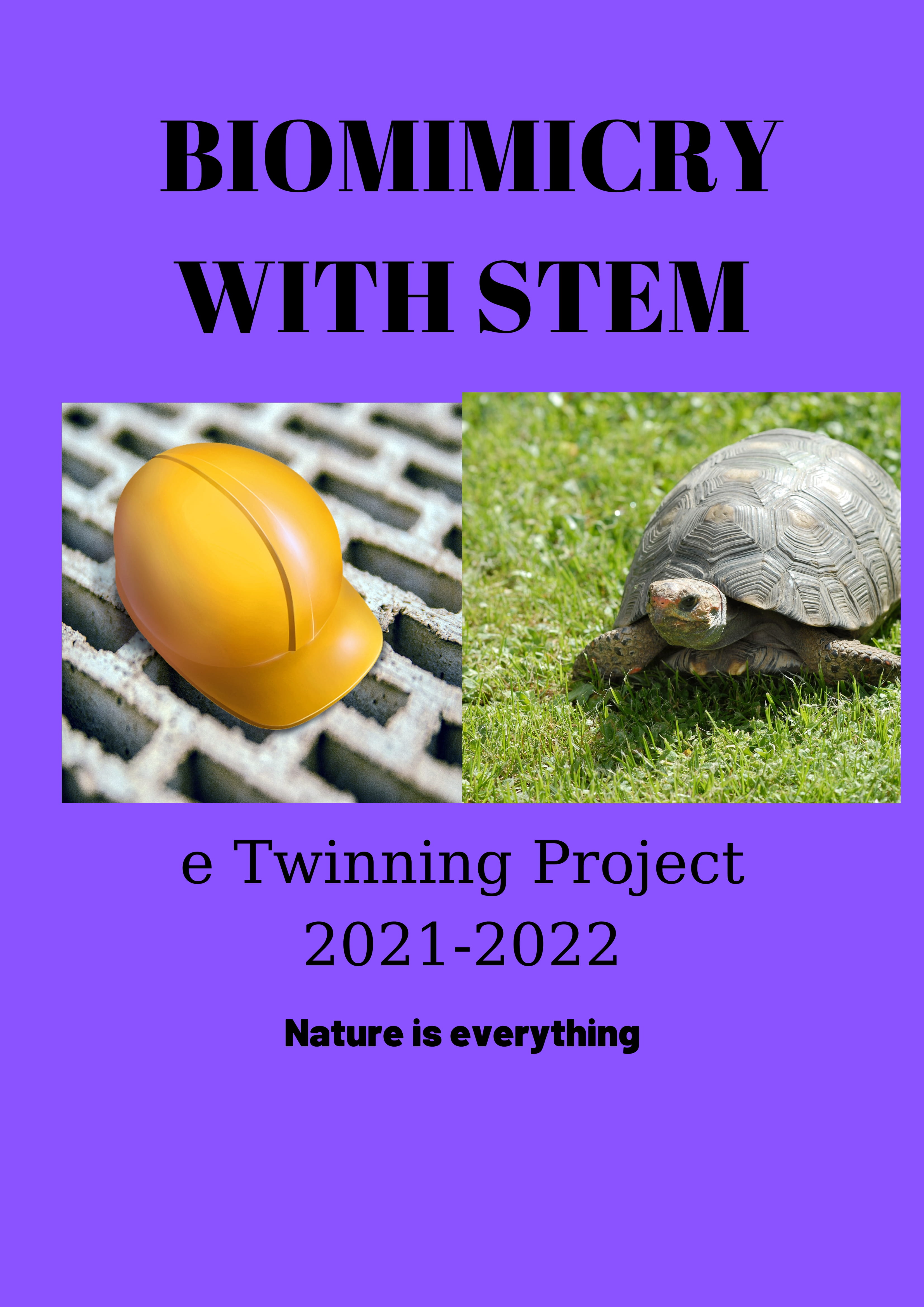 Stem Student Pre-test with Biomimicry by arzuercin - Ourboox.com