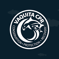 Vaquitas Human Impact Project by Sydney Young - Ourboox.com