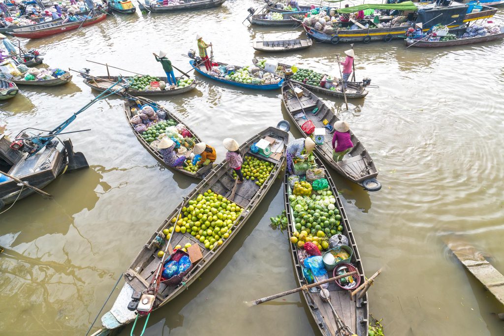 Activities to do in Vietnam by Alper Burak Demir - Ourboox.com