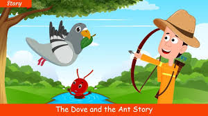 The Ant and The Dove by Gülçin Karaman - Ourboox.com