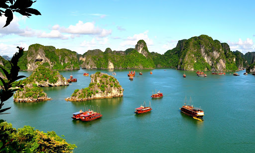 Activities to do in Vietnam by Alper Burak Demir - Ourboox.com