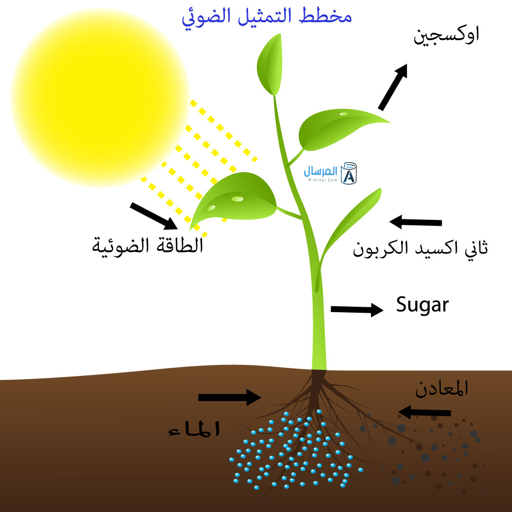 الضوء by Yousef alyan - Illustrated by (كتاب الضوء) - Ourboox.com