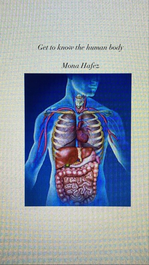 Get to know the human body :) by mona hafez - Illustrated by منى عاصلة - Ourboox.com