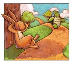 The Tortoise and the Hare by Tasneem - Illustrated by Tasneem Jebreel  - Ourboox.com