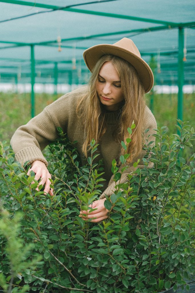 Best Canadian Colleges to Study Biology by amandajonesassignment - Ourboox.com