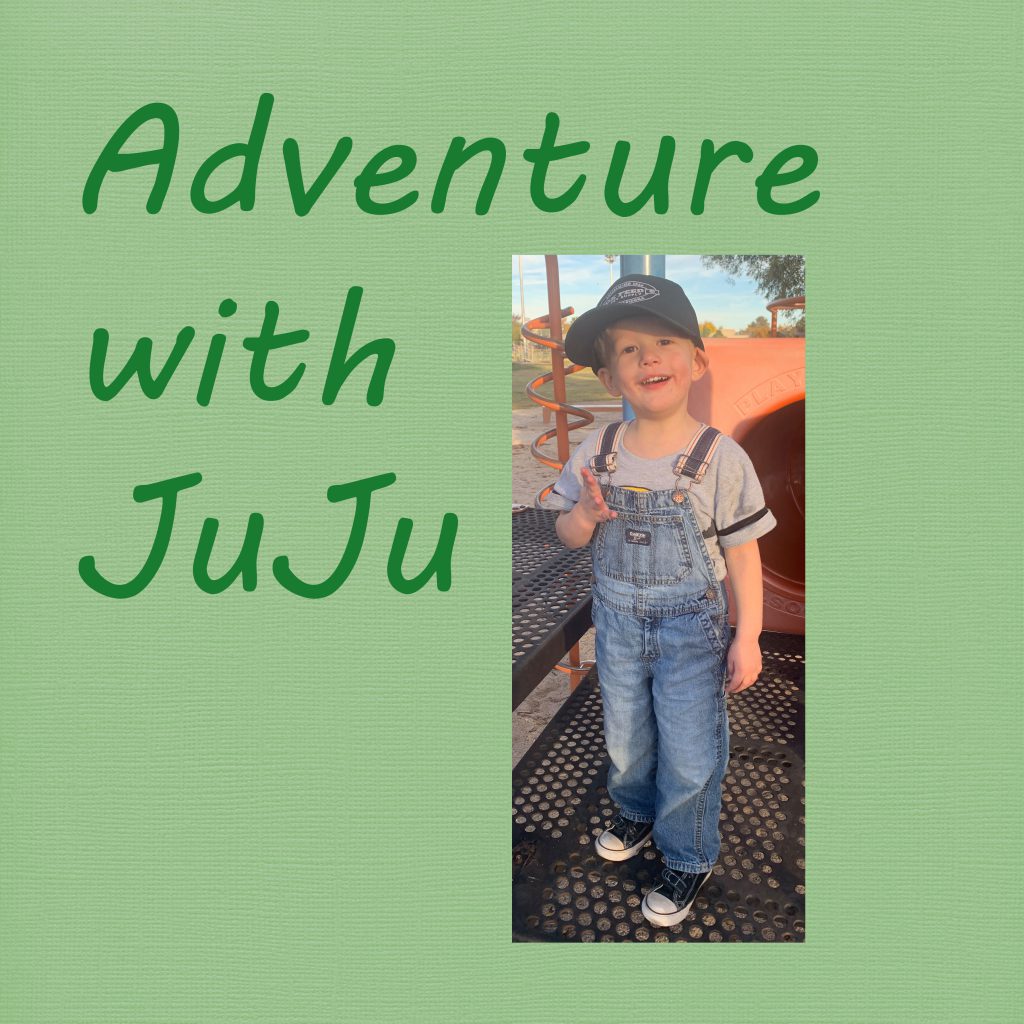 Adventure with JuJu by Jean DeAlmeida - Illustrated by Jean DeAlmeida - Ourboox.com