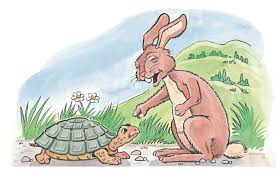 The Tortoise and the Hare by Tasneem - Illustrated by Tasneem Jebreel  - Ourboox.com