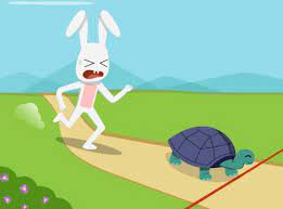 The Tortoise and the Hare by Tasneem - Illustrated by Tasneem Jebreel  - Ourboox.com