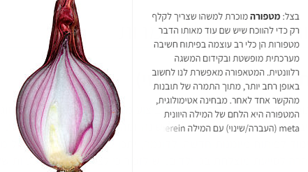 התלמיד כדבורה by chevi - Ourboox.com