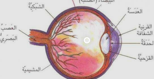 البصر العين by Sara - Ourboox.com