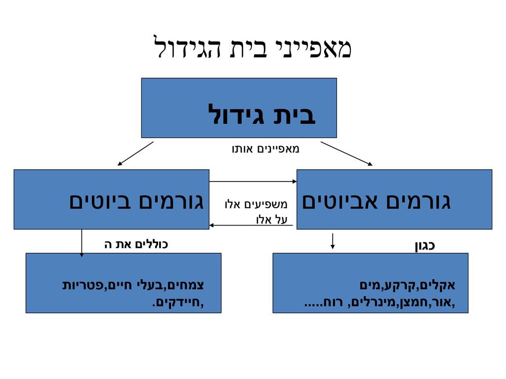 מערכת אקולוגית by zainab gazawi - Illustrated by זינב גזאוי - Ourboox.com