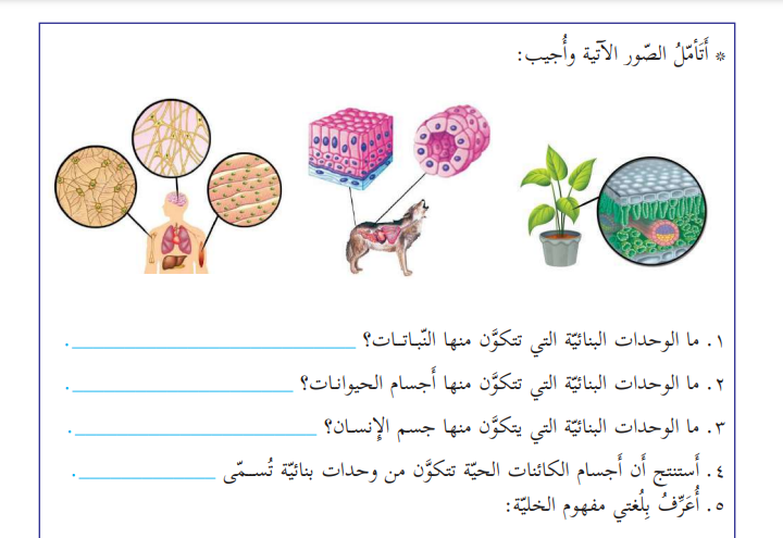 الخلية في الكائنات الحية by saeed abbasi - Illustrated by ايالة طوطح / سعيد العباسي/هبة بيضون  - Ourboox.com