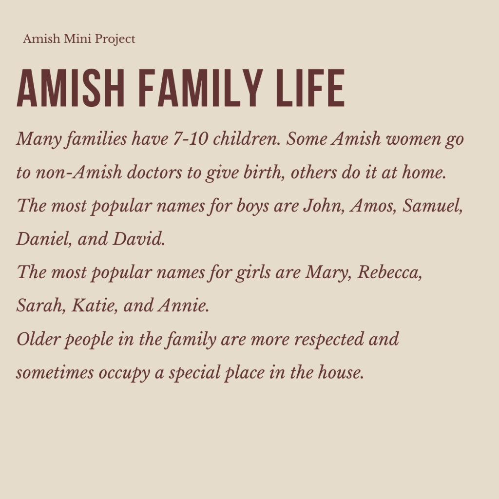 The Amish – A Simple Way of Life by shira cohen - Ourboox.com