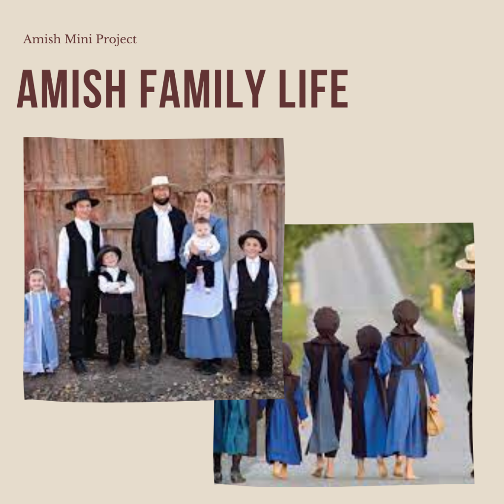 The Amish – A Simple Way of Life by shira cohen - Ourboox.com