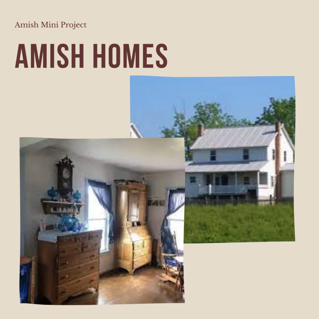 The Amish – A Simple Way of Life by shira cohen - Ourboox.com