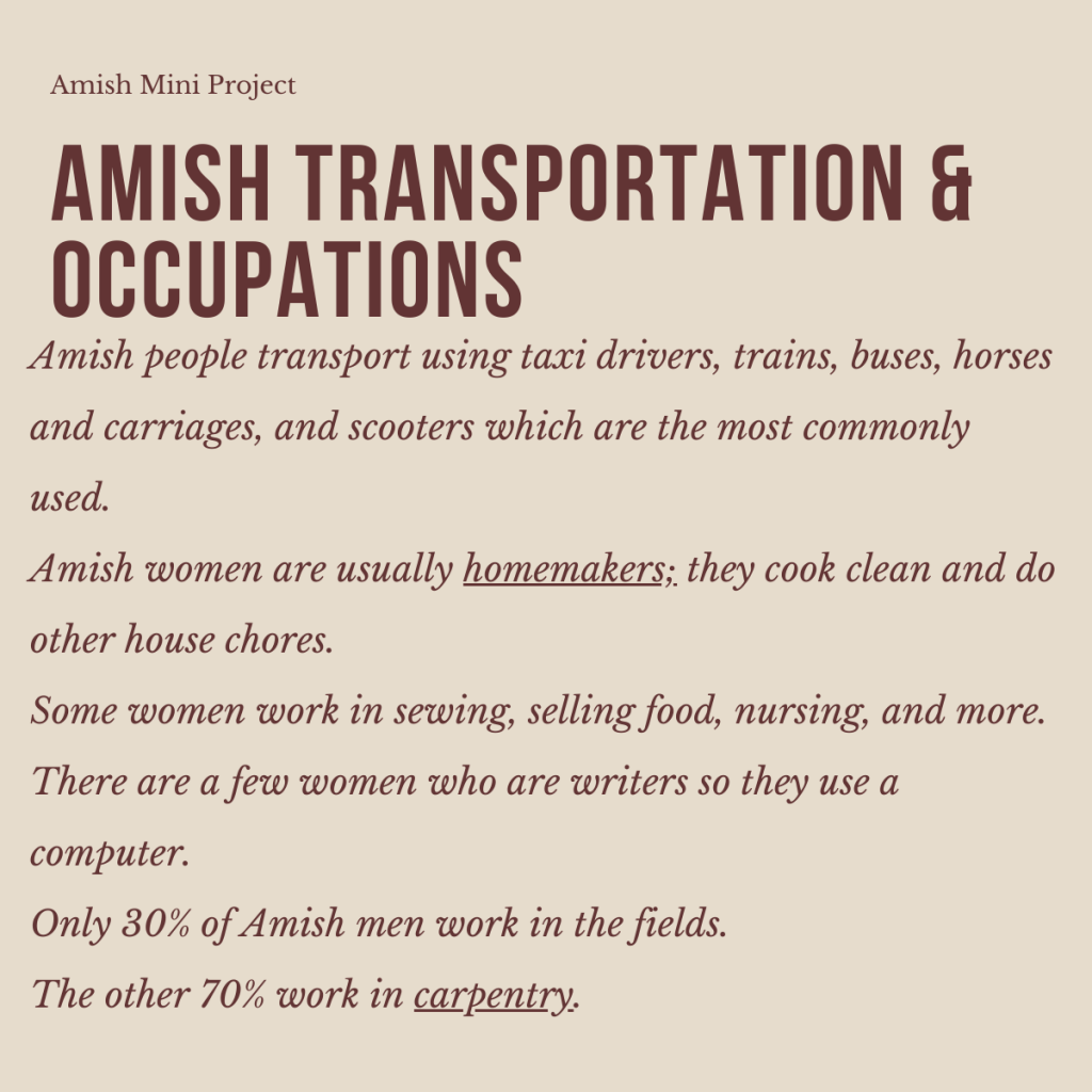 The Amish – A Simple Way of Life by shira cohen - Ourboox.com