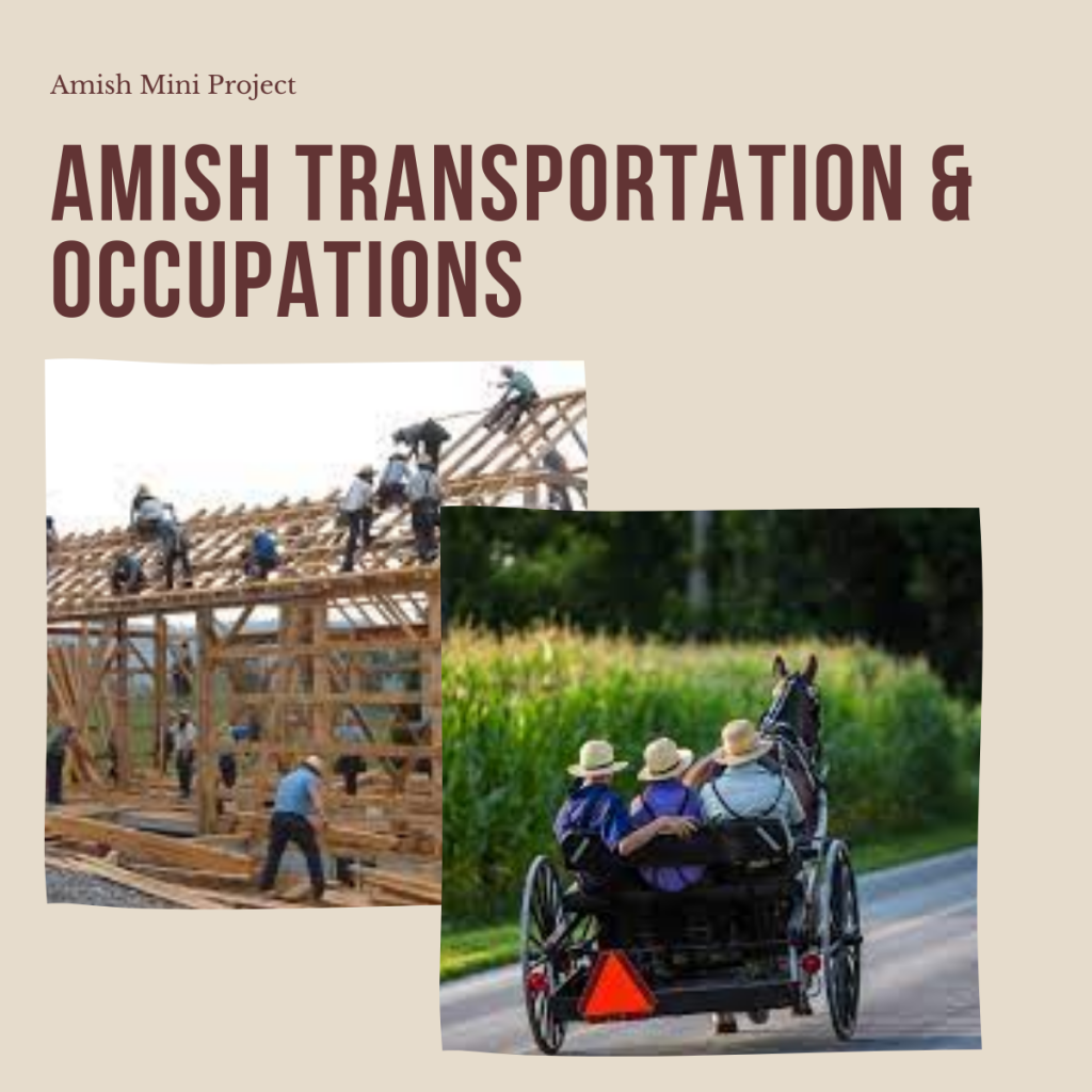 The Amish – A Simple Way of Life by shira cohen - Ourboox.com