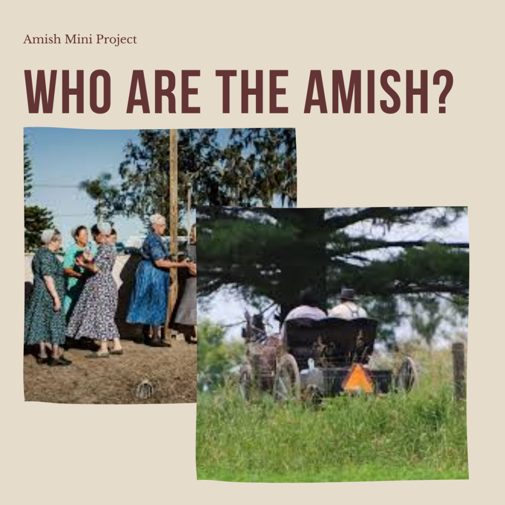 The Amish – A Simple Way of Life by shira cohen - Ourboox.com