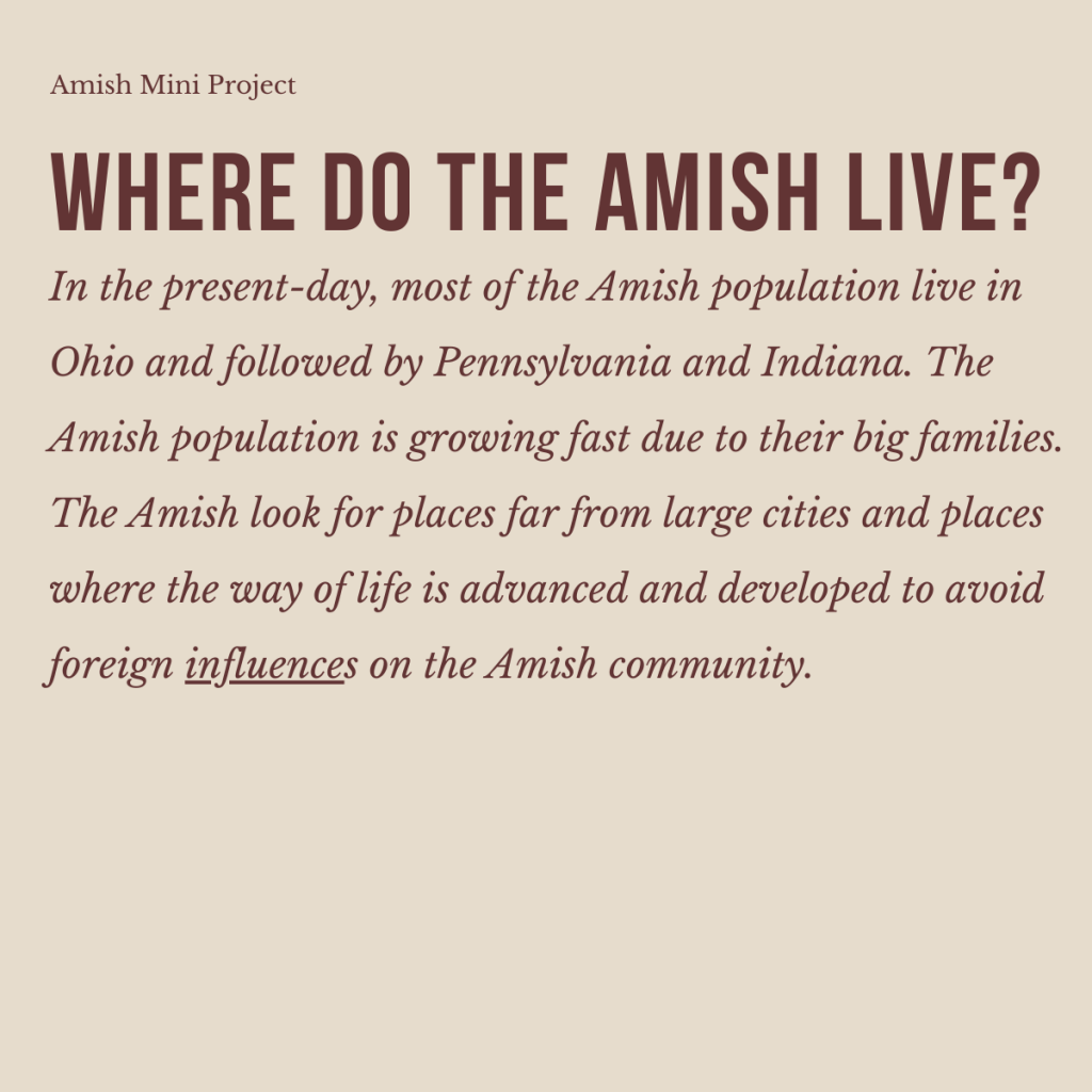 The Amish – A Simple Way of Life by shira cohen - Ourboox.com