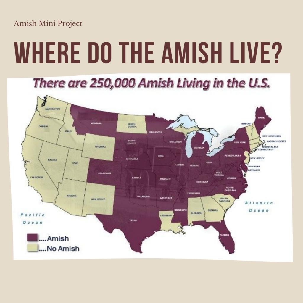 The Amish – A Simple Way of Life by shira cohen - Ourboox.com