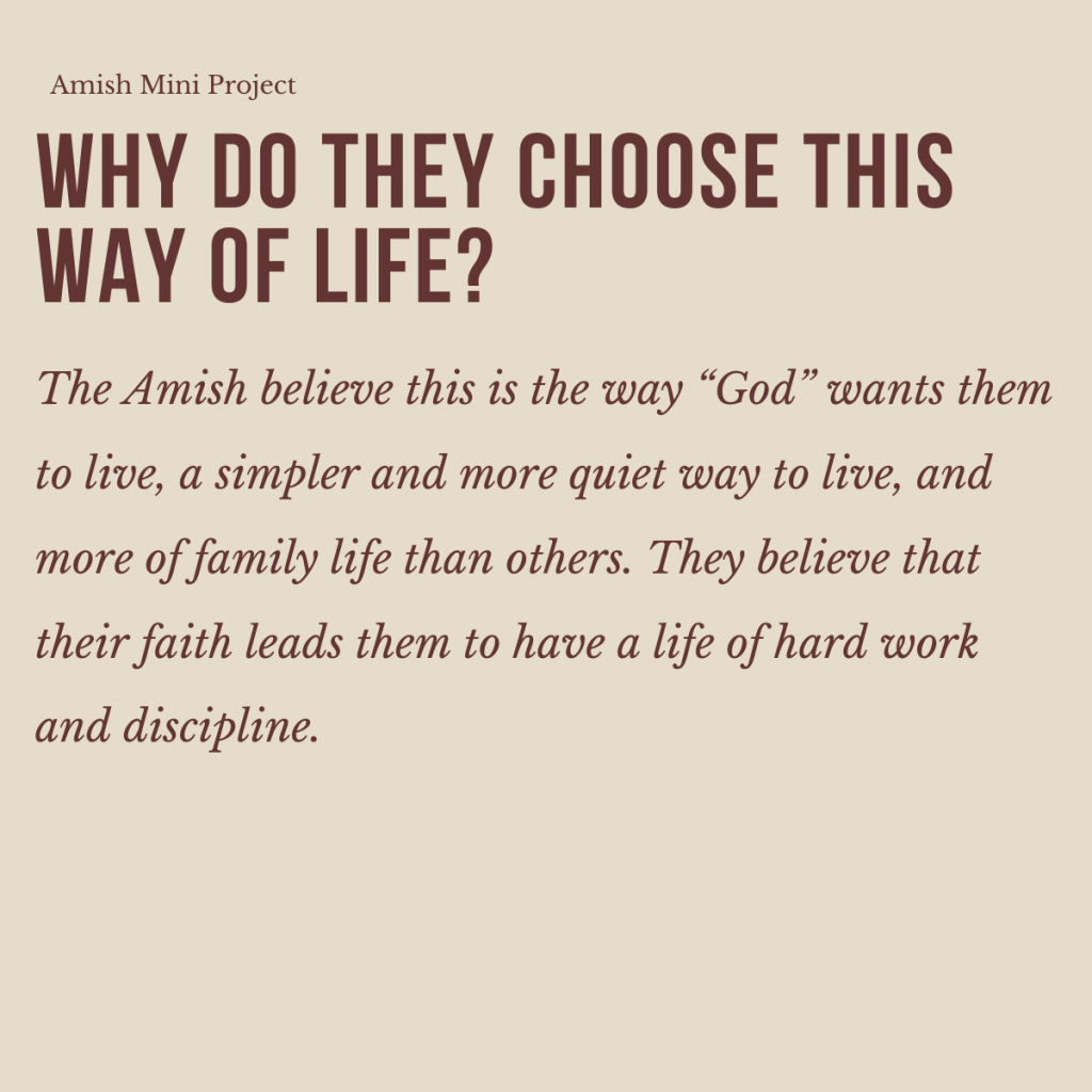 The Amish – A Simple Way of Life by shira cohen - Ourboox.com