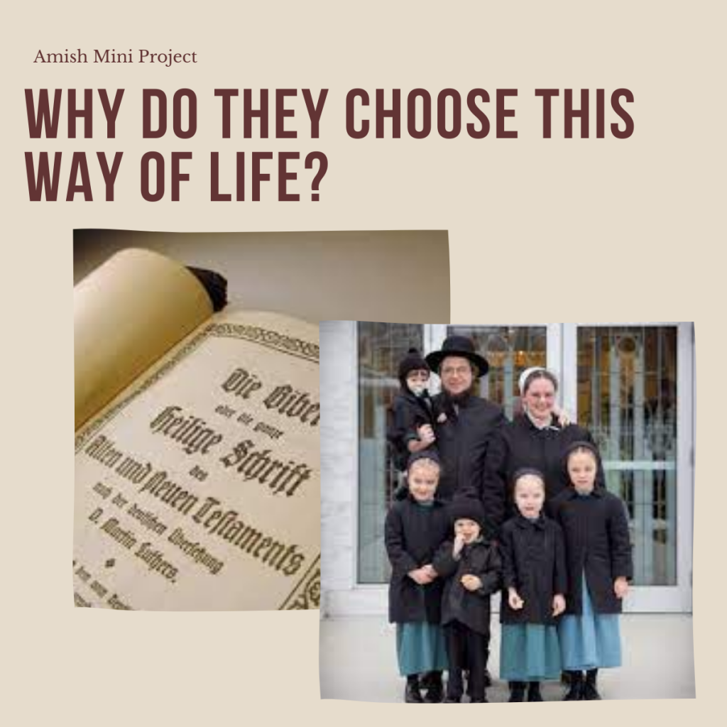 The Amish – A Simple Way of Life by shira cohen - Ourboox.com