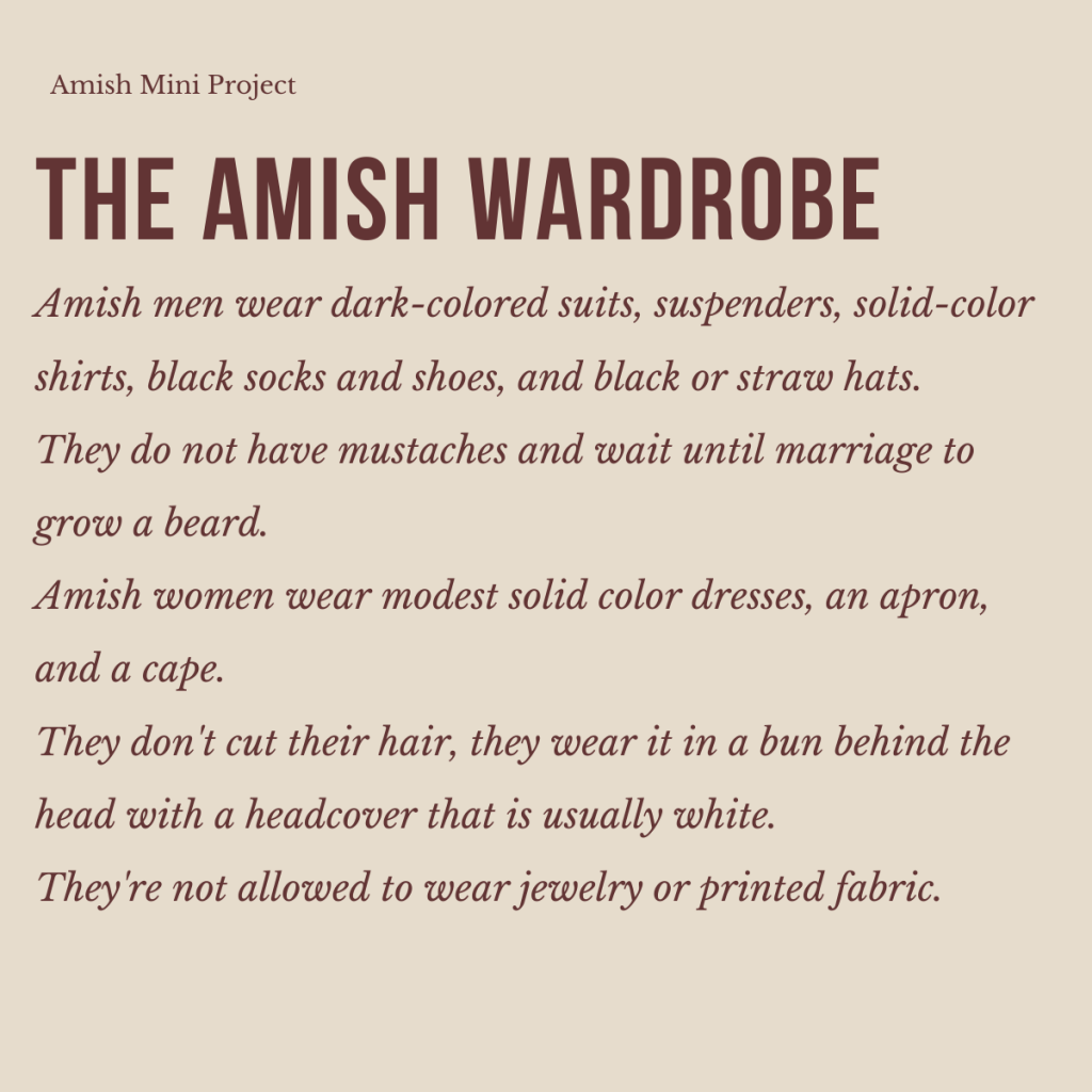 The Amish – A Simple Way of Life by shira cohen - Ourboox.com