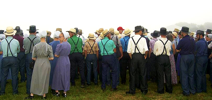 the Amish by talya dimri - Ourboox.com